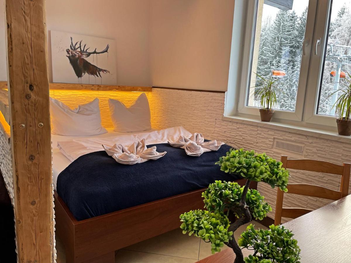 Bed and Breakfast Safir Przy Samym Wyciagu Karpacz Exteriér fotografie