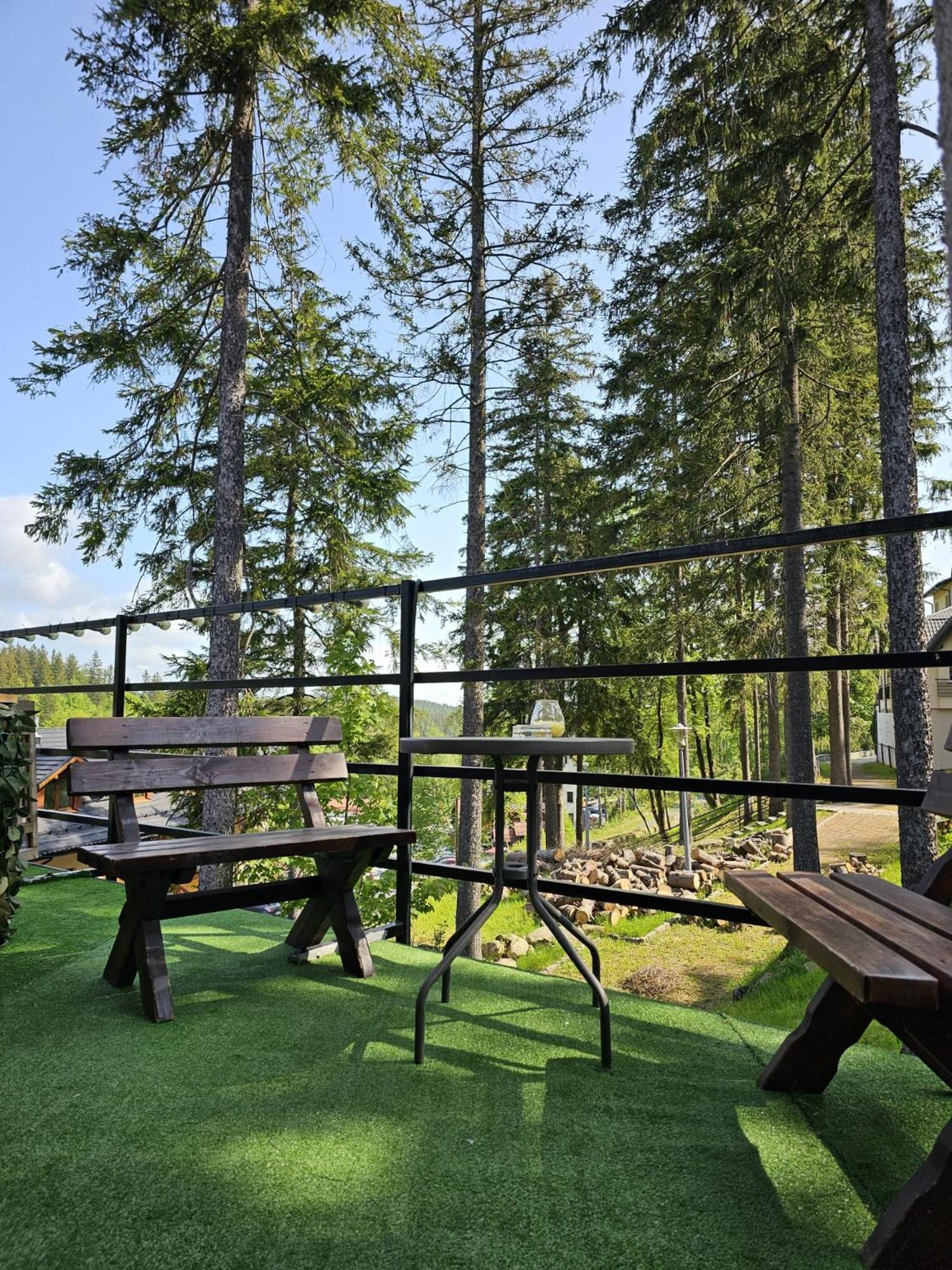 Bed and Breakfast Safir Przy Samym Wyciagu Karpacz Exteriér fotografie
