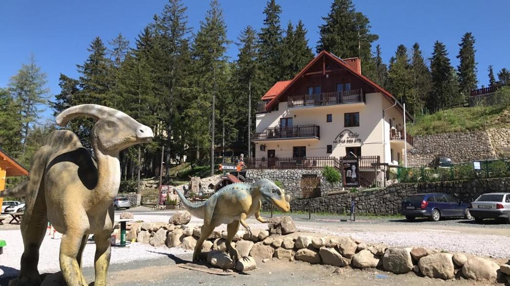 Bed and Breakfast Safir Przy Samym Wyciagu Karpacz Exteriér fotografie