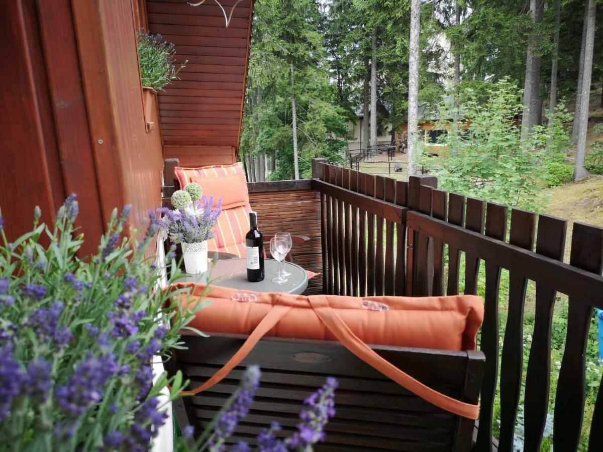 Bed and Breakfast Safir Przy Samym Wyciagu Karpacz Exteriér fotografie