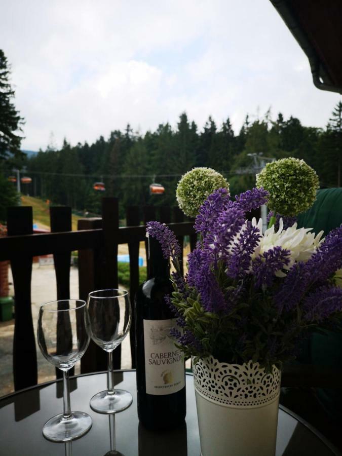 Bed and Breakfast Safir Przy Samym Wyciagu Karpacz Exteriér fotografie